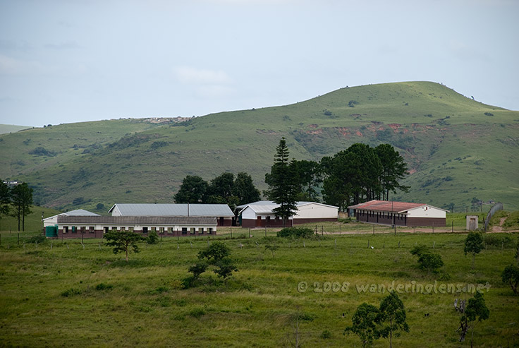 Habeni primary school