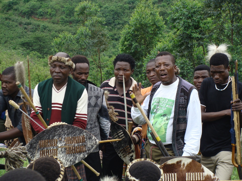 Lobola report. A family member reports that only nine cows have been paid, but the other two will follow with a month